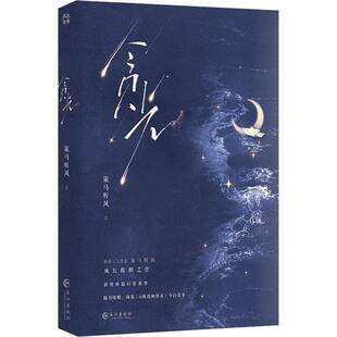 贪光策马听风  小说书籍