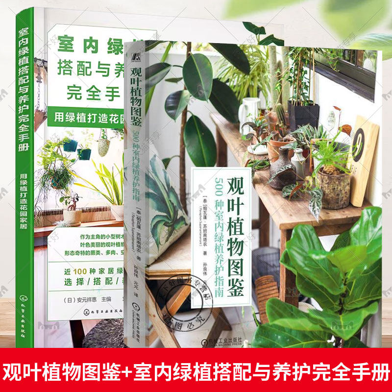 2册 观叶植物图鉴 500种室内绿植养护指南+室内绿植搭配与养护完全手册 用绿植打造花园家居 挑选合适家庭环境的植物植物后期养护