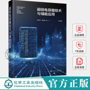 超级电容器技术与储能应用 超级电容器基本原理与不同种类超级电容器构成要素 碳电极材料批量制备方法 电化学应用技术人员参考书