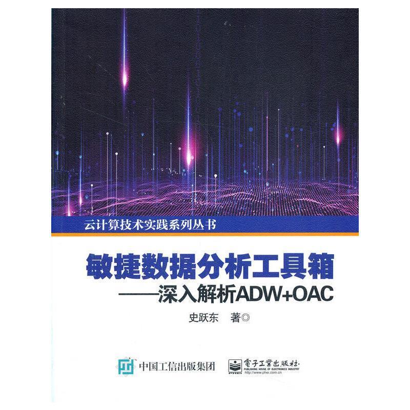 敏捷数据分析工具箱 ——深入解析ADW+OAC史跃东普通大众数据处理软件工业技术书籍
