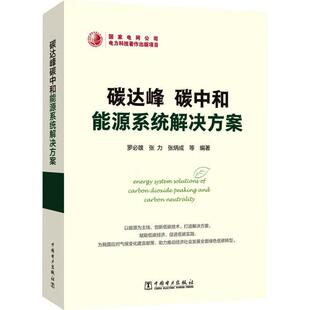 碳达峰碳中和关键技术措施方案实施案例市场运行书 碳达峰碳中和能源系统解决方案 张炳成 张力 9787519876500 罗必雄