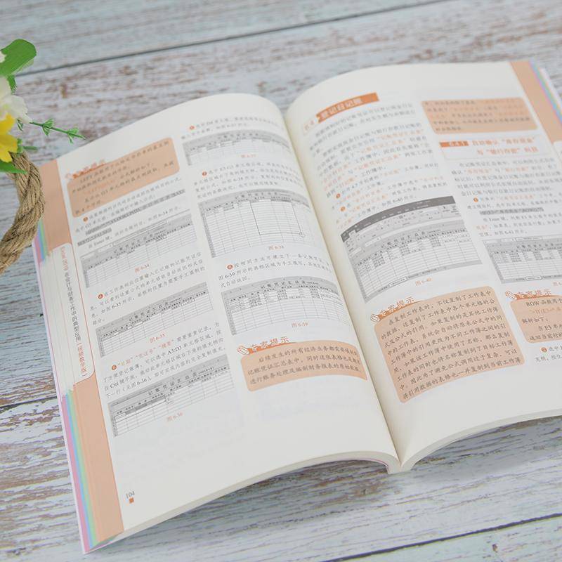 Excel 2019在会计与财务工作中的典型应用:教学版赛贝尔资讯  经济书籍