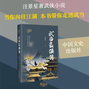 武当豪侠传汪景星  图书书籍