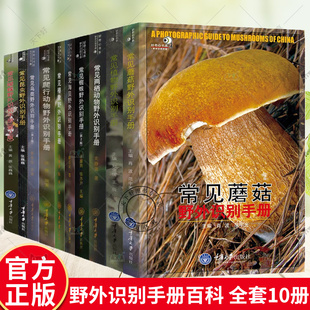 好奇心科普书野外识别手册全12册正版常见蝴蝶昆虫蘑菇鸟类植物爬行动物椿象蜘蛛两栖动物野外识别手册 户外探险动植物百科全书籍
