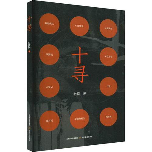 十寻倬  小说书籍