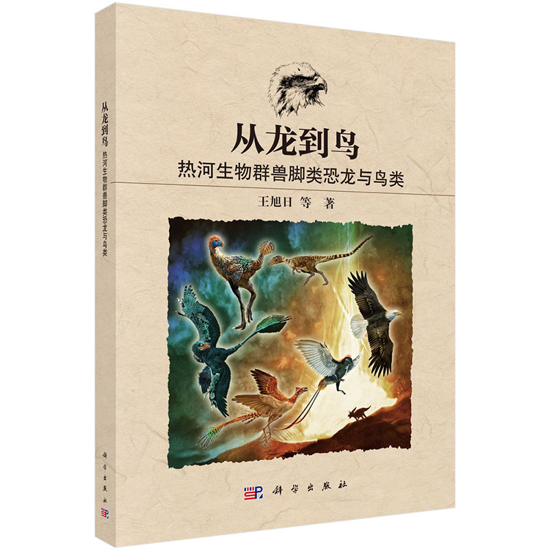正版包邮 从龙到鸟 热河生物群兽脚类恐龙与鸟类 王旭日等 科学出版社9787030839251