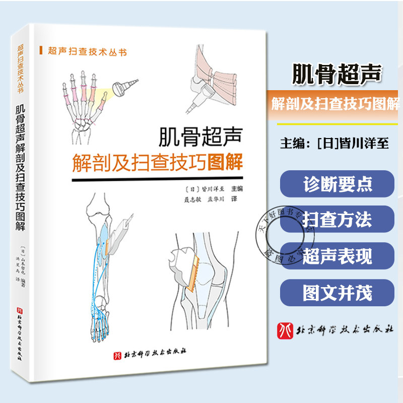 肌骨超声解剖及扫查技巧图解 诊断学医学影像图谱人体断层彩超书籍正常值测量备忘录技术入门b超血管肌骨心超笔记腹部精细讲解解剖