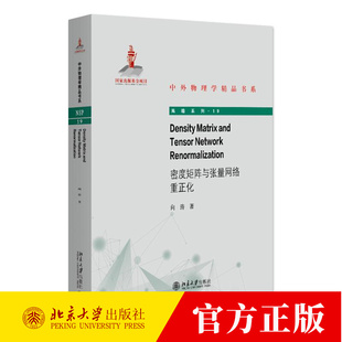 密度矩阵与张量网络重正化 英文版 向涛 编著 自然科学书籍 9787301353875 北京大学出版社