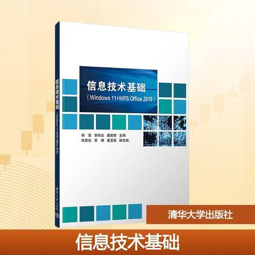 信息技术基础:Windows 11+WPS Office 2019韩登教育本专科学生计算机培训班学员 图书书籍