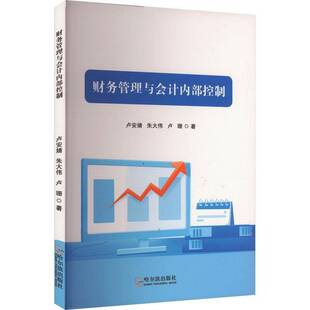 财务管理与会记内部控制卢珊 管理书籍