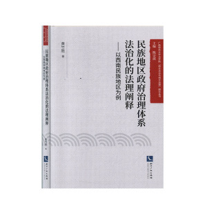 法律法规 法律 民族地区政府治理体系法治化 法理阐释：以西南民族地区为例