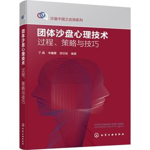 过程策略与技巧 一本书读懂团体沙盘心理技术 心理学入门书籍 团体心理学沙盘应用入门 团体沙盘心理技术 沙盘中国系列 正版