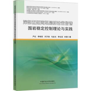 深部距离煤层群沿空留巷围岩稳定控制理论与实践严红  工业技术书籍