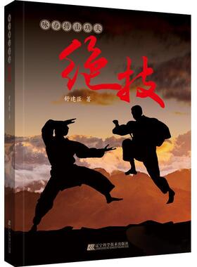 咏春搏夫绝技舒建臣武术爱好者南拳基本知识体育书籍