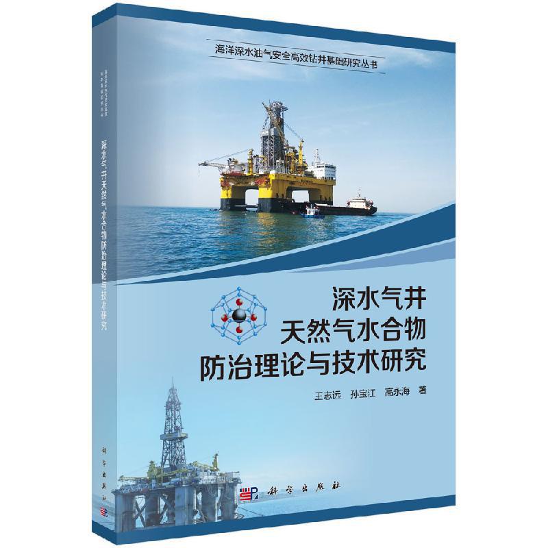 正版包邮 深水气井天然气水合物理论与技术研究 志远 编著 海上油气田勘探与开发书籍 9787030635402 科学出版社