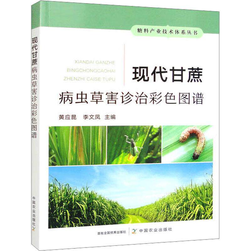 现代甘蔗病虫草害诊治彩色图谱 图解甘蔗生产中病虫害杂草症状识别防治措施甘蔗种植技术书籍水果树栽培书 糖料产业中国农业出版社