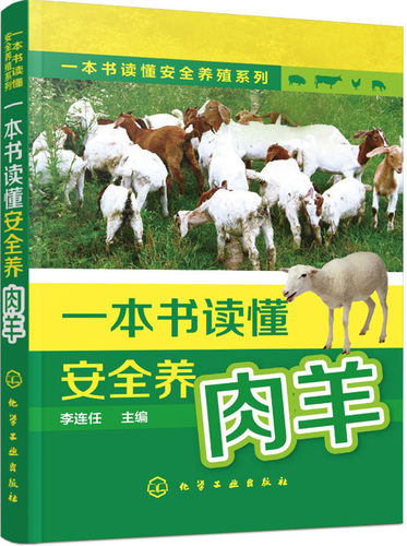 正版包邮 一本书读懂安全养肉羊 李连任 书店 畜牧、养殖书籍