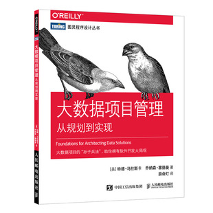 正版包邮 大数据项目管理:从规划到实现:managing successful data 特德·马拉斯卡乔纳森·塞德曼 书店 自动化技术及设备书籍