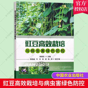 长豇豆无公害生产技术 豇豆水肥管理豇豆病虫害识别发生与防治 豆类蔬菜种植 豇豆栽培种植书籍 豇豆高效栽培与病虫害绿色防控