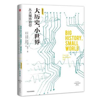 大历史，小世界:从大爆炸到你:from the big bang to you辛西娅·斯托克斯·布朗 世界史通俗读物社会科学书籍