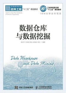 数据仓库与数据挖掘袁汉宁青年数据库系统高等教育教材计算机与网络书籍