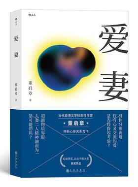 爱妻董启章普通大众长篇小说中国当代小说书籍
