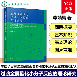 过渡金属催化小分子反应的理论研究 李婧婧 过渡金属催化羰基化 加氢/脱氢以及惰性键活化的反应机理 催化转化理论计算书籍
