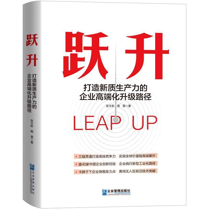 跃升——打造新质生产力的企业化升级路径张文彬  管理书籍