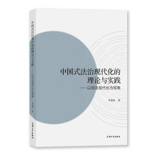 法律书籍 理论与实践——以司法现代化为视角李银娥 中国式 法治现代化