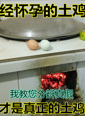 莒南县孙小龙家农村正宗土鸡蛋农家散养笨鸡蛋柴鸡蛋新鲜