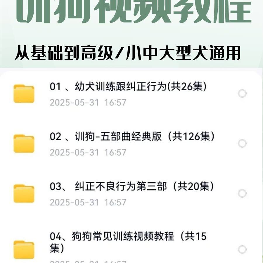 训狗视频教程训犬程训犬师一对一指导宠物训练狗狗听话动作教学