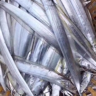 野生黄金带鱼纯天然鲜活海鲜新鲜带鱼东海带鱼黄旗带东山岛海鲜