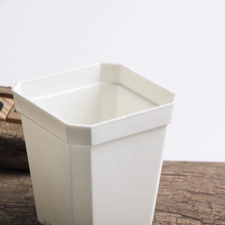 小韩盆5cm7cm花盆硬质塑料白色方盆白方加厚小特厚多肉植物生石花