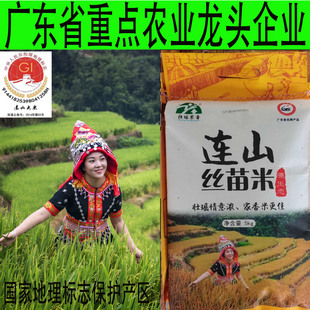 2025清远连山壮瑶家香晚造梯田长粒原生态大米丝苗米5KG广东包邮