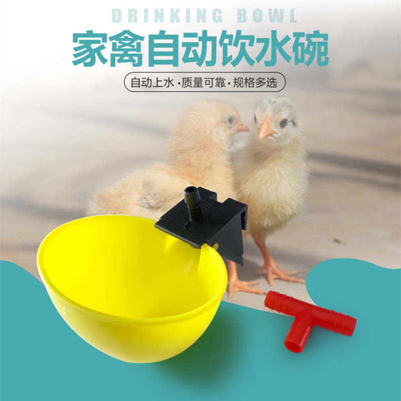 自动饮水碗鹌鹑鸟鸽子鹦鹉饮水器鸡用饮水器小鸡饮水杯养殖设备