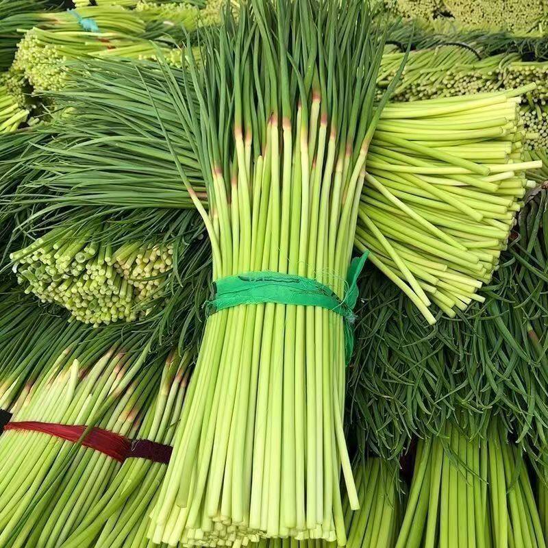 河南特色农家新鲜现摘蒜苔农家自种蒜毫应季蔬菜青菜蒜苗蒜薹
