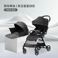 Таинственная черная птоза+спящая корзина [обновлять анти-сейсмические препятствия] D2800-H