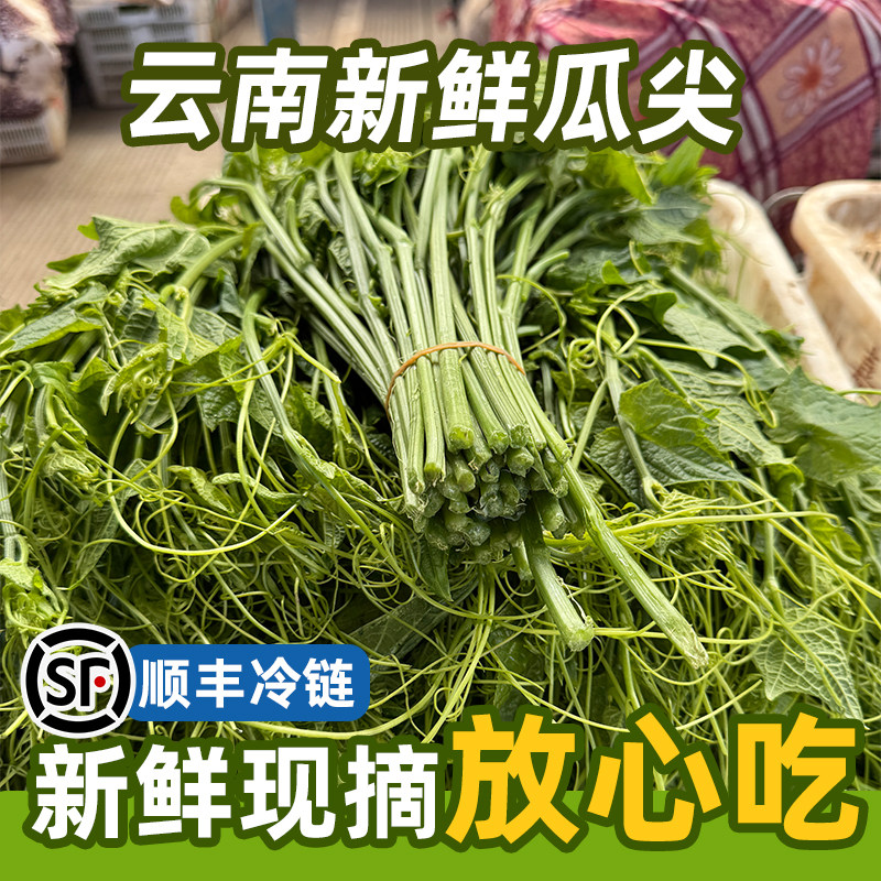 云南新鲜蔬菜龙须菜顺丰包邮