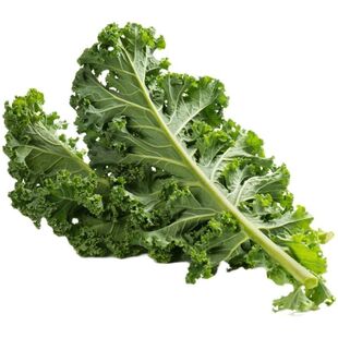 云南新鲜羽衣甘蓝顺丰蔬菜令西餐沙拉榨汁健康绿色农家羽衣甘果汁