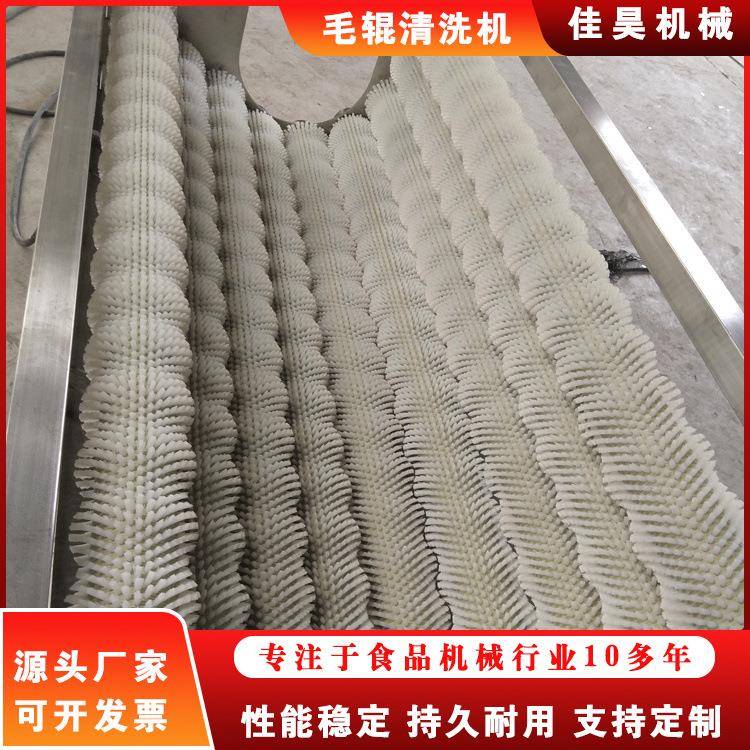 红薯清洗机 商用土豆清洗去皮机 净菜加工设备 全自动洗菜机器