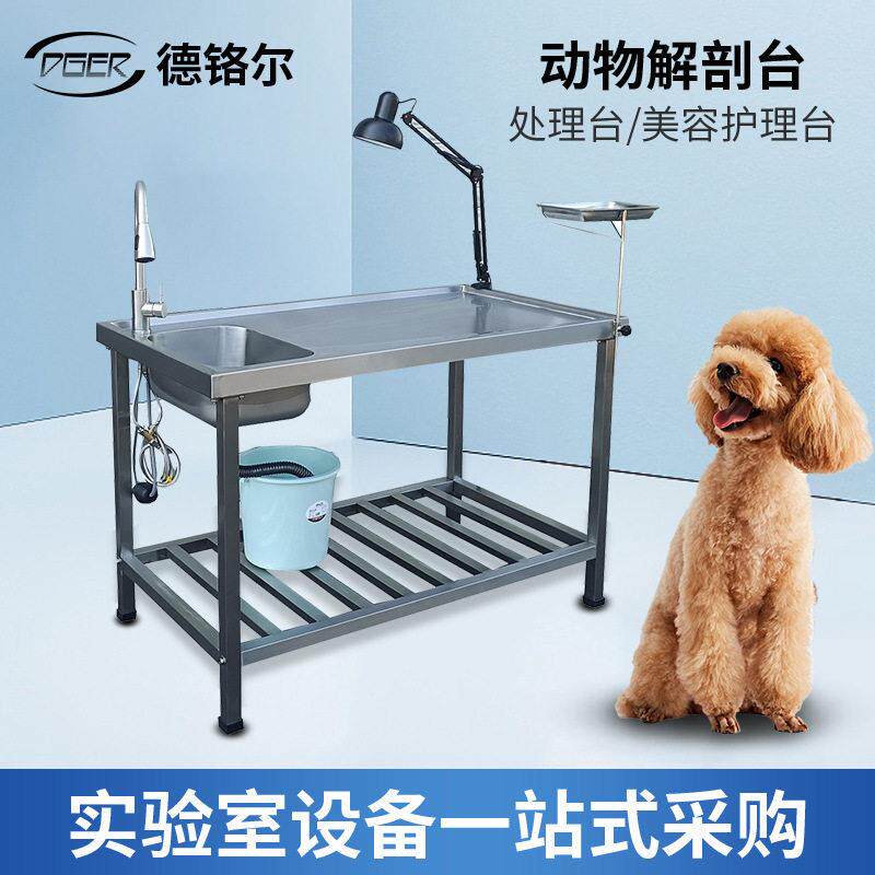 304不锈钢解剖台动物解剖台 教学实验猫狗解剖设备实验宠物手术台