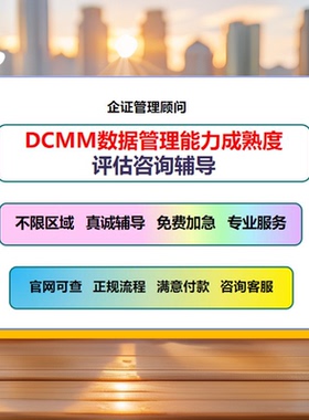 DCMM数据管理能力成熟度评估初始级(级受管理级2级稳健级3级