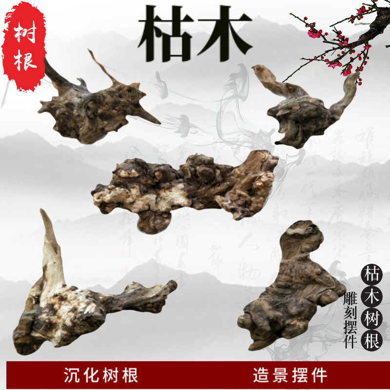 沉木水草造景珊瑚木小树根料造景朽木枯木料树枝雨林水陆缸植物盆
