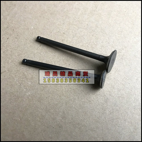 SDH50QT-41/40/42自由/世纪梦/天涯丽人 气门 气门油封