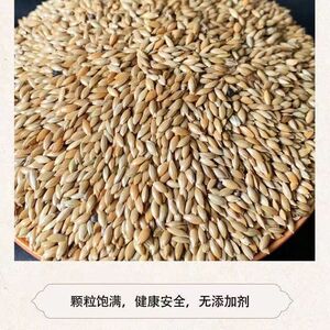 新加纳利子进口白尖粟鹦鹉鸟食草庐籽白燕虎皮牡丹鸟粮营养粮鸽粮