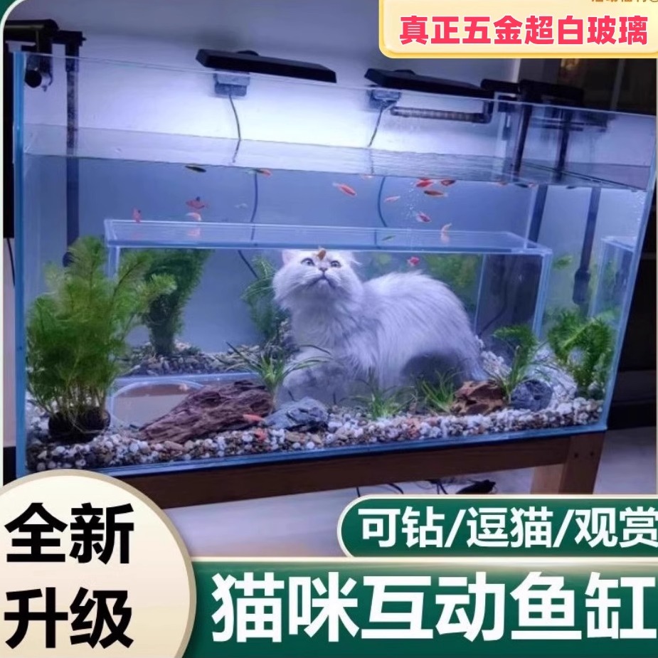 猫咪鱼缸猫缸沉浸式观鱼逗猫神器