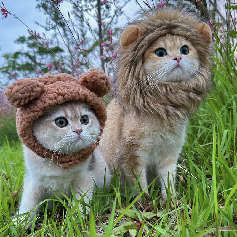 猫狗通用搞怪狮子头套图片