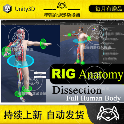 Unity RIG Dissection Anatomy Full Human Body Male 解剖 1.0