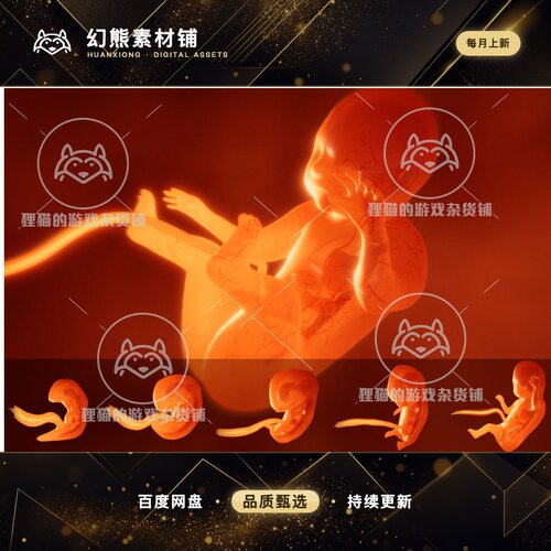 Unity Human embryo with internal organs Animation 胎儿 1.1