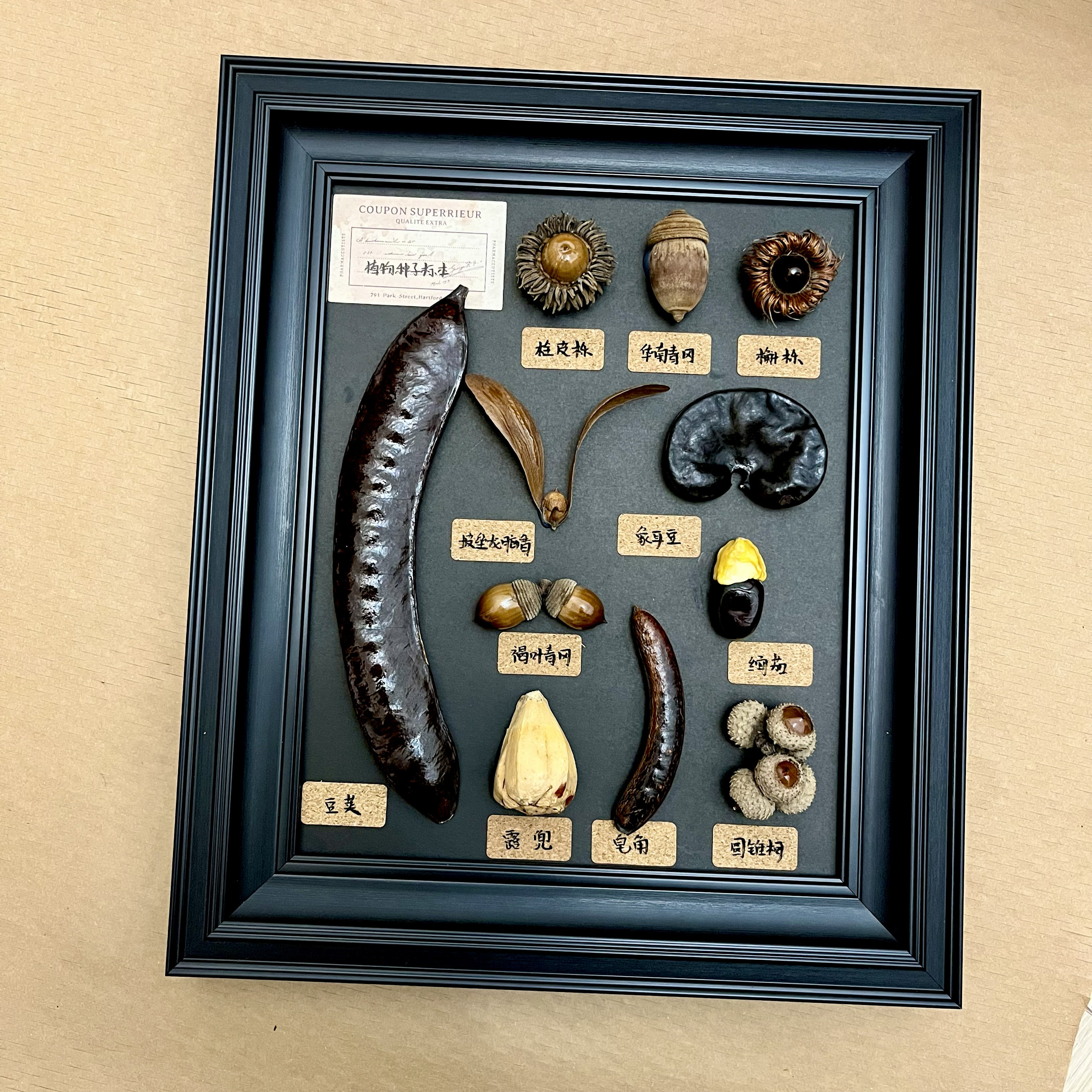 标本创意礼物家居艺术中古风摆件